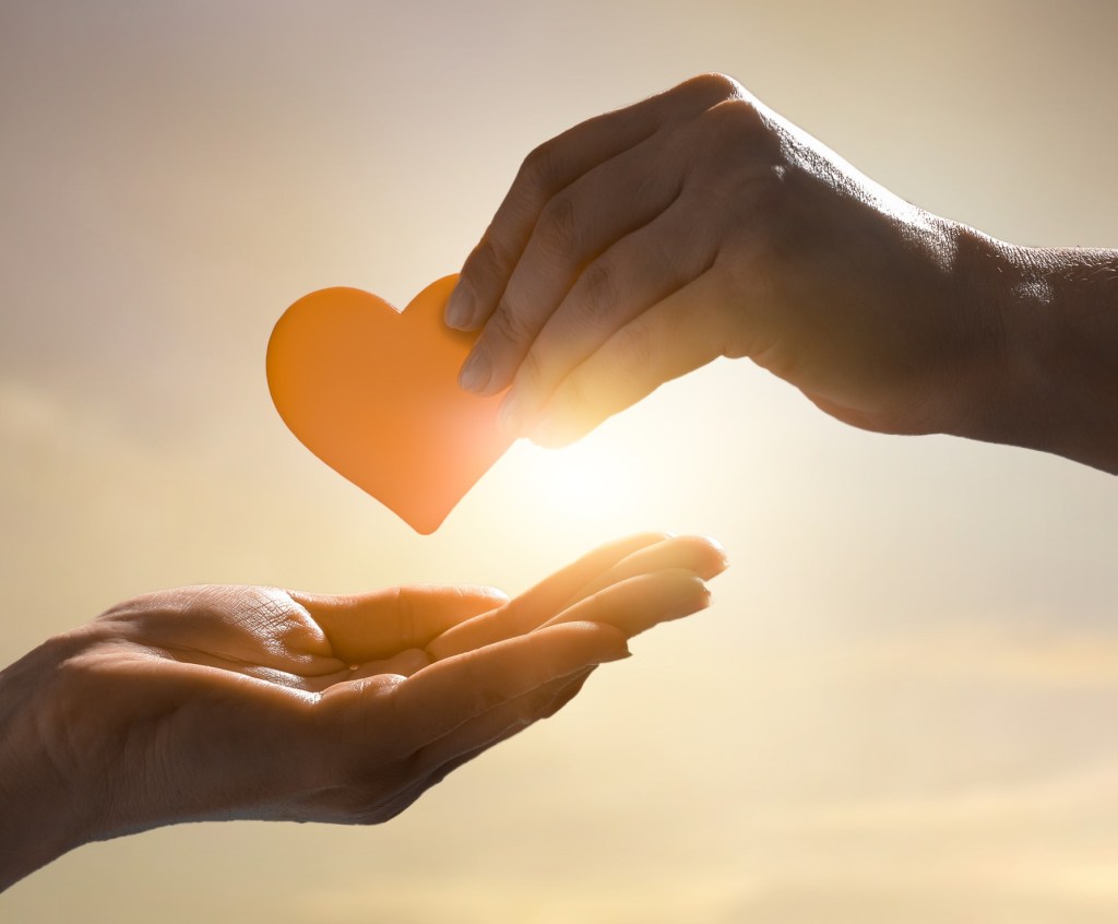 hearts-with-hands-new-island-technologies